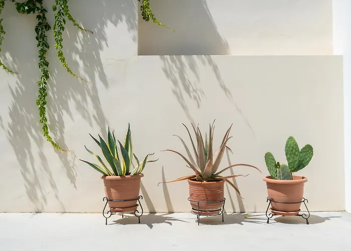 Vintage Charm Casa de Férias Cós