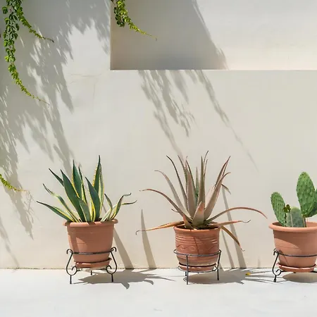 Vintage Charm Semesterbostad Kos